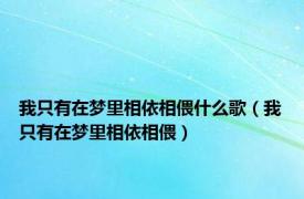 我只有在梦里相依相偎什么歌（我只有在梦里相依相偎）