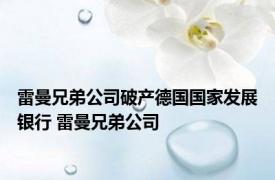 雷曼兄弟公司破产德国国家发展银行 雷曼兄弟公司 