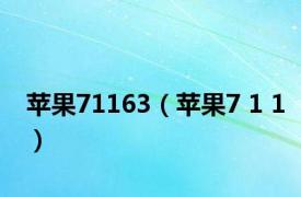 苹果71163（苹果7 1 1）