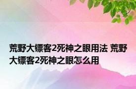 荒野大镖客2死神之眼用法 荒野大镖客2死神之眼怎么用