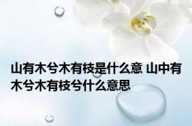 山有木兮木有枝是什么意 山中有木兮木有枝兮什么意思