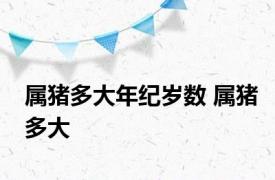 属猪多大年纪岁数 属猪多大 