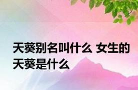 天葵别名叫什么 女生的天葵是什么 