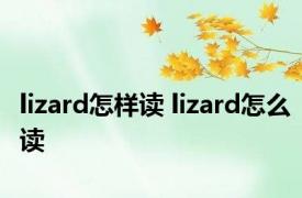 lizard怎样读 lizard怎么读 