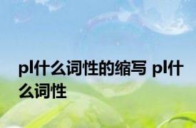 pl什么词性的缩写 pl什么词性 