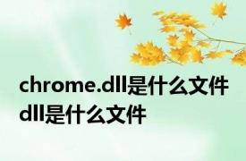 chrome.dll是什么文件 dll是什么文件 