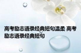 高考励志语录经典短句温柔 高考励志语录经典短句