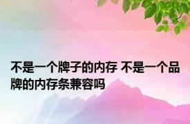 不是一个牌子的内存 不是一个品牌的内存条兼容吗