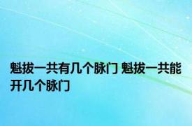 魁拔一共有几个脉门 魁拔一共能开几个脉门