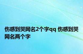 伤感到哭网名2个字qq 伤感到哭网名两个字 