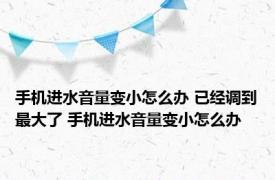 手机进水音量变小怎么办 已经调到最大了 手机进水音量变小怎么办