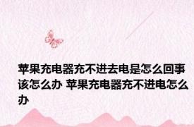 苹果充电器充不进去电是怎么回事该怎么办 苹果充电器充不进电怎么办