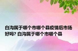 白沟属于哪个市哪个县疫情后市场好吗? 白沟属于哪个市哪个县