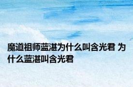 魔道祖师蓝湛为什么叫含光君 为什么蓝湛叫含光君