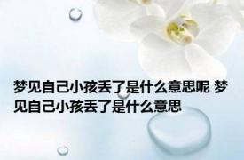 梦见自己小孩丢了是什么意思呢 梦见自己小孩丢了是什么意思