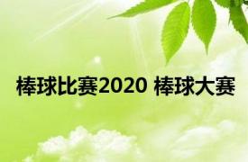 棒球比赛2020 棒球大赛 