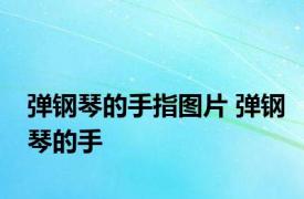 弹钢琴的手指图片 弹钢琴的手 