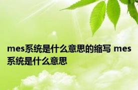 mes系统是什么意思的缩写 mes系统是什么意思 