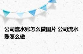 公司流水账怎么做图片 公司流水账怎么做 