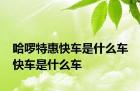 哈啰特惠快车是什么车 快车是什么车