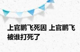 上官鹏飞死因 上官鹏飞被谁打死了