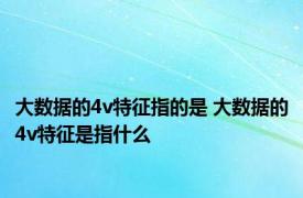 大数据的4v特征指的是 大数据的4v特征是指什么