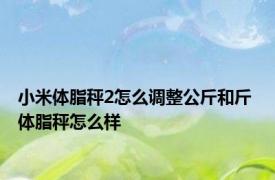 小米体脂秤2怎么调整公斤和斤 体脂秤怎么样 