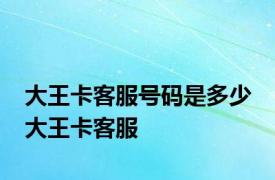 大王卡客服号码是多少 大王卡客服 