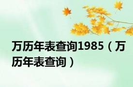 万历年表查询1985（万历年表查询）