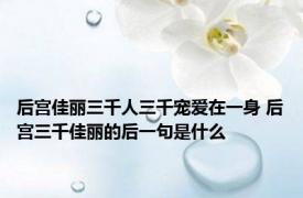 后宫佳丽三千人三千宠爱在一身 后宫三千佳丽的后一句是什么