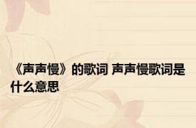 《声声慢》的歌词 声声慢歌词是什么意思 