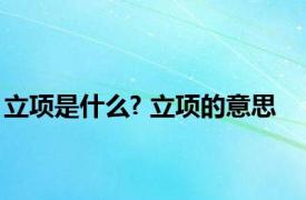 立项是什么? 立项的意思