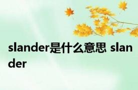 slander是什么意思 slander 