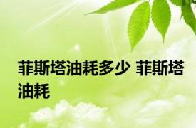 菲斯塔油耗多少 菲斯塔油耗 