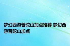 梦幻西游普陀山加点推荐 梦幻西游普陀山加点 