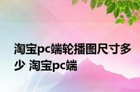 淘宝pc端轮播图尺寸多少 淘宝pc端 