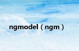 ngmodel（ngm）