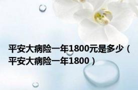 平安大病险一年1800元是多少（平安大病险一年1800）