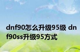 dnf90怎么升级95级 dnf90ss升级95方式