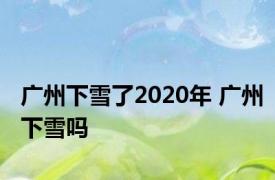 广州下雪了2020年 广州下雪吗 