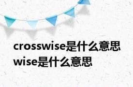 crosswise是什么意思 wise是什么意思 