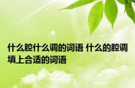 什么腔什么调的词语 什么的腔调填上合适的词语