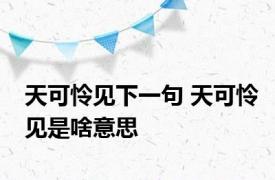 天可怜见下一句 天可怜见是啥意思