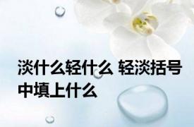 淡什么轻什么 轻淡括号中填上什么