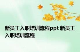 新员工入职培训流程ppt 新员工入职培训流程 