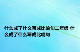 什么成了什么写成比喻句二年级 什么成了什么写成比喻句