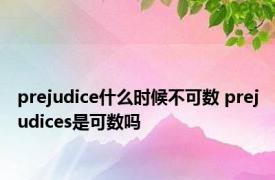 prejudice什么时候不可数 prejudices是可数吗