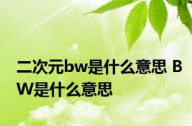 二次元bw是什么意思 BW是什么意思