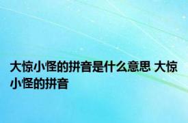 大惊小怪的拼音是什么意思 大惊小怪的拼音 