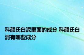 科颜氏白泥里面的成分 科颜氏白泥有哪些成分